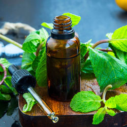 Mint Oils